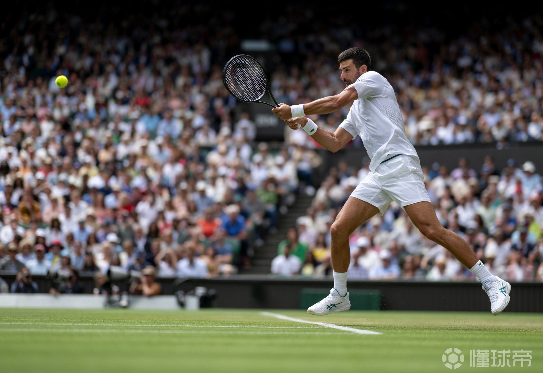 温网横扫ATP总决赛，纳达尔状态火热