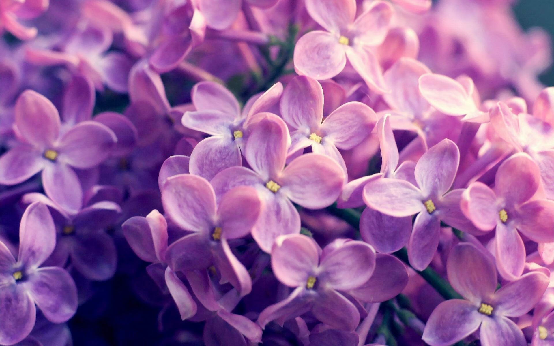 德罗赞沉默一击,让千万身价巨星集体哑火