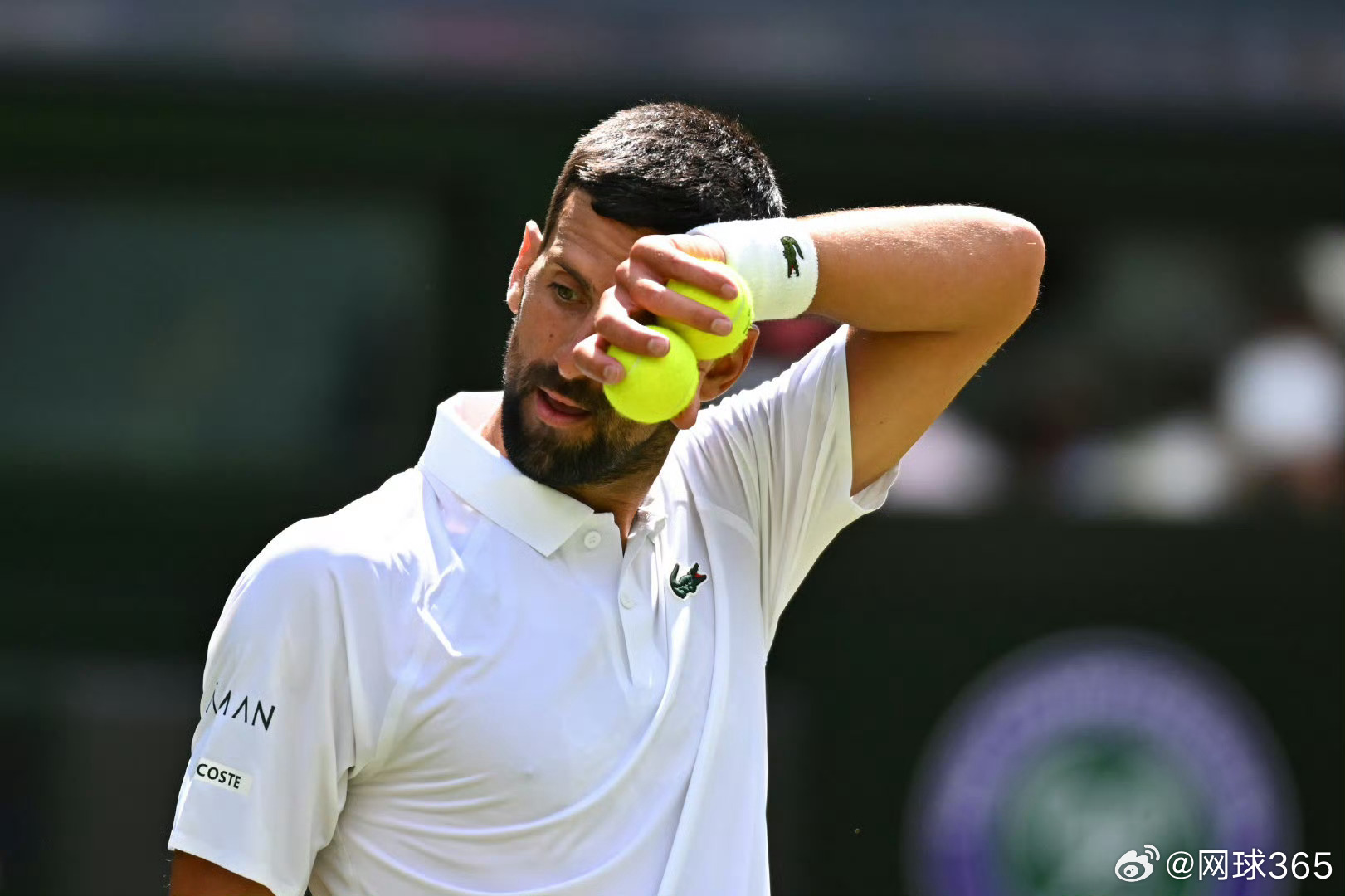 戴维斯杯绝杀温网,德约科维奇高光表现 戴维斯杯绝杀温网,德约科维奇高光表现