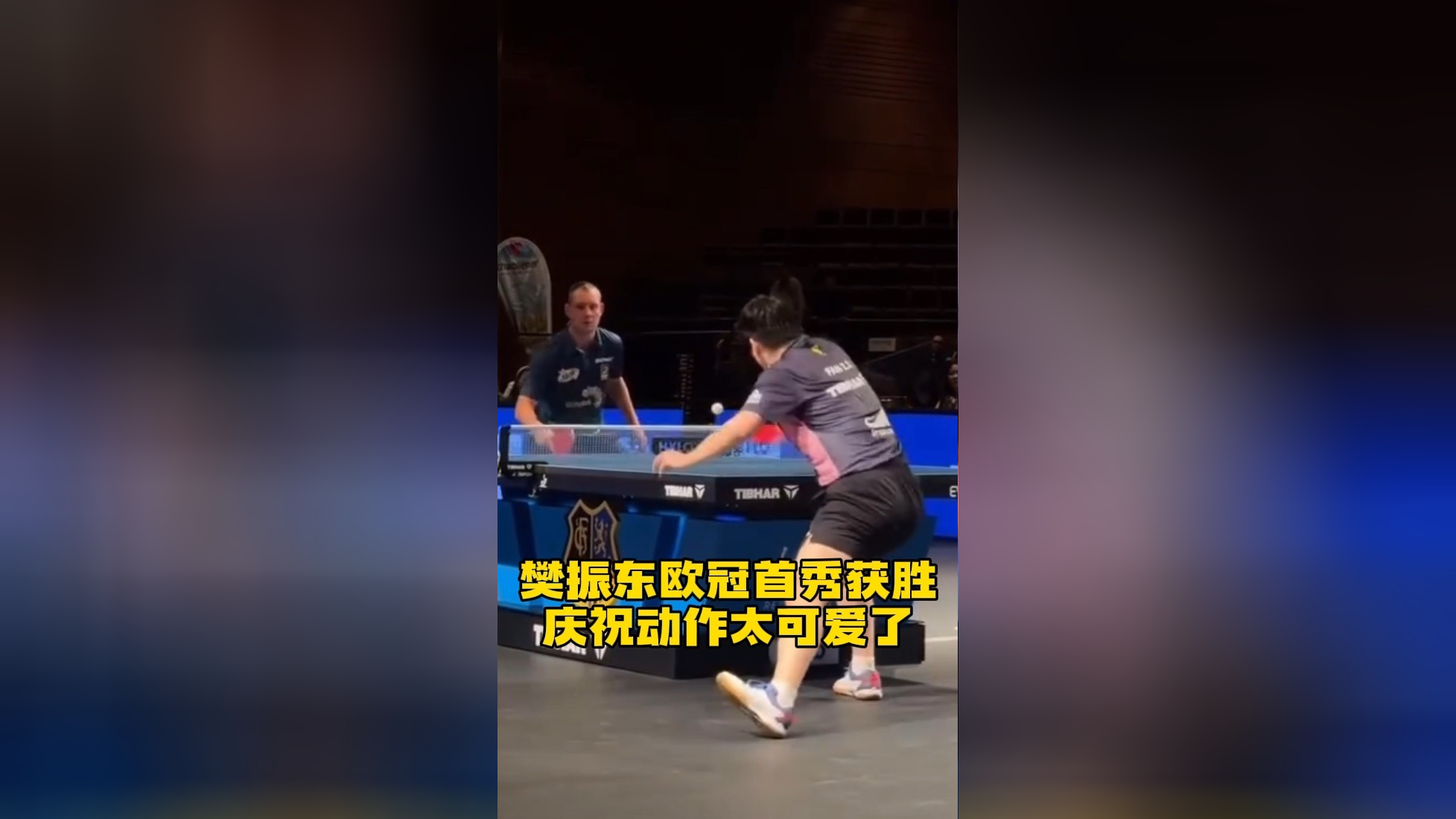 奥地利队碾压英格兰队,樊振东统治全场 奥地利队碾压英格兰队,樊振东统治全场